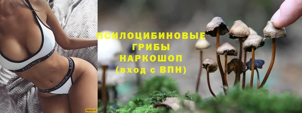 стафф Магас