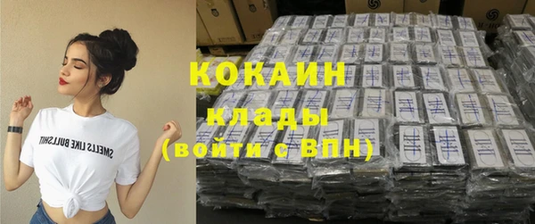гидра Михайловка