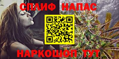 spice Дубна