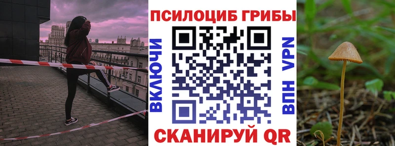 Псилоцибиновые грибы мицелий  Заволжье 