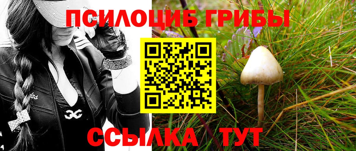 Псилоцибиновые грибы мицелий Заволжье
