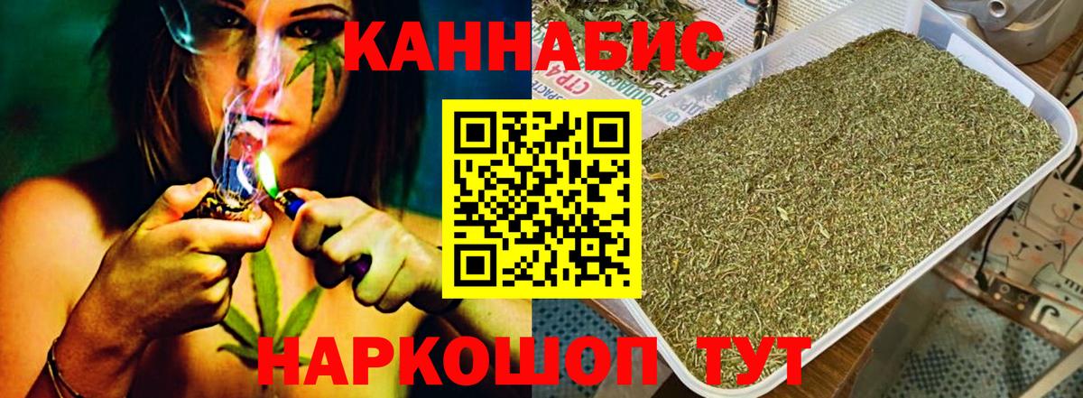 Конопля планчик Заволжье